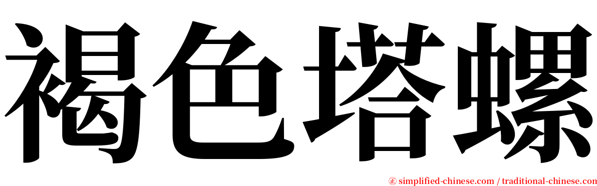 褐色塔螺 serif font