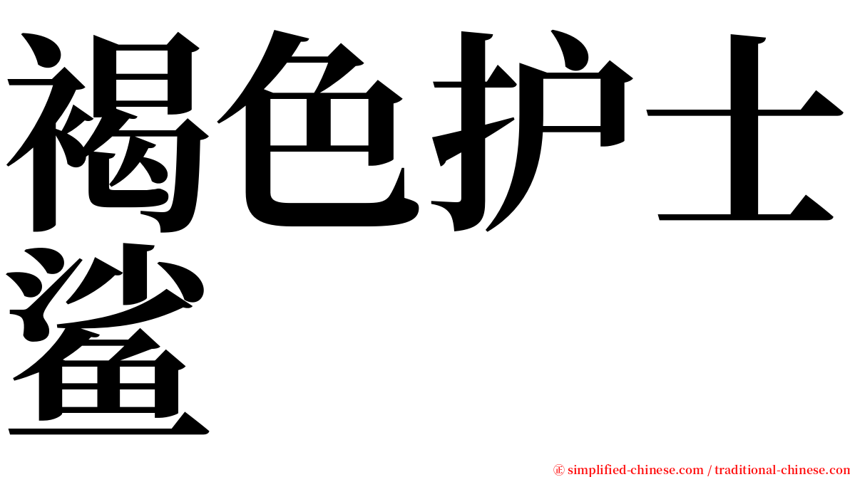 褐色护士鲨 serif font