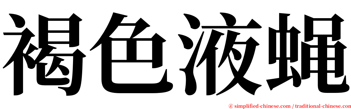 褐色液蝇 serif font