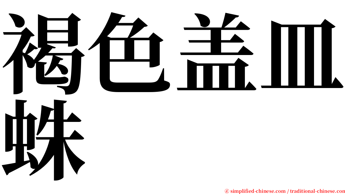 褐色盖皿蛛 serif font