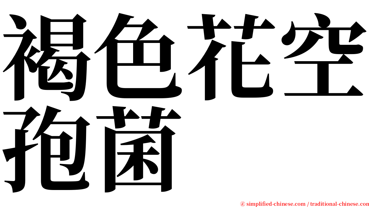 褐色花空孢菌 serif font