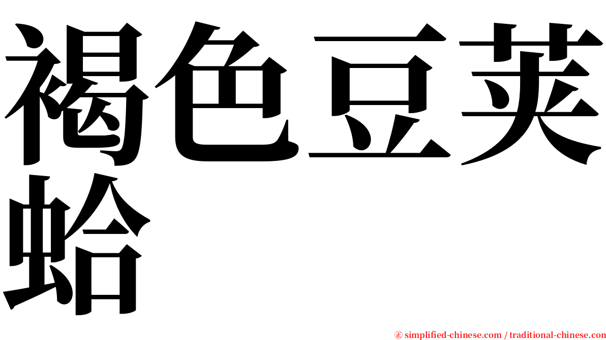 褐色豆荚蛤 serif font