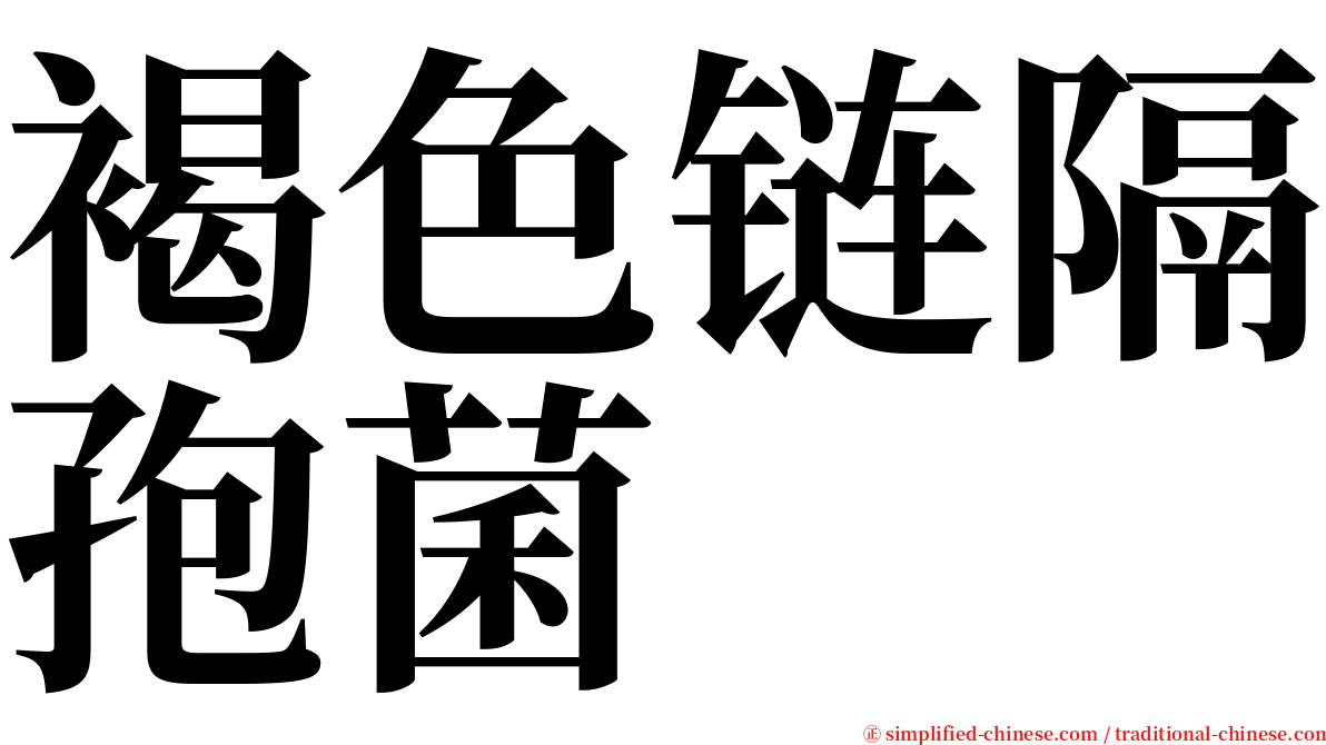 褐色链隔孢菌 serif font