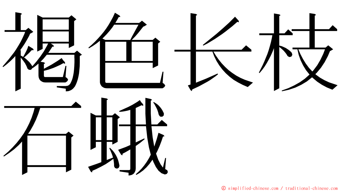 褐色长枝石蛾 ming font