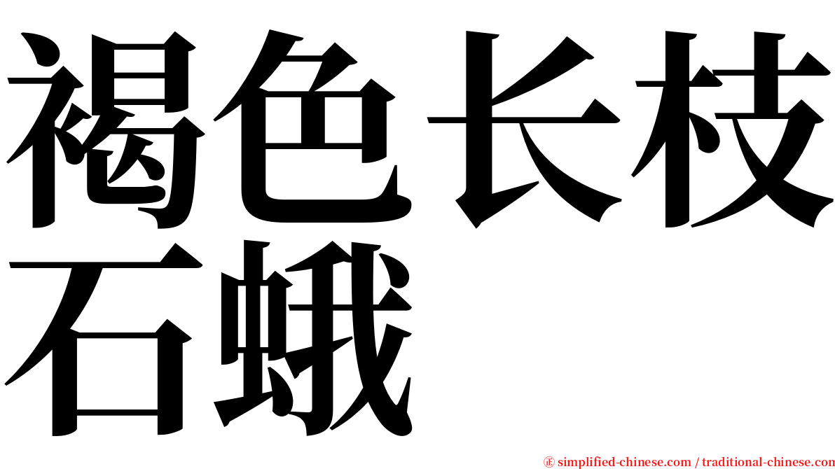 褐色长枝石蛾 serif font