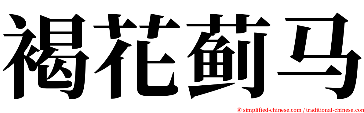 褐花蓟马 serif font