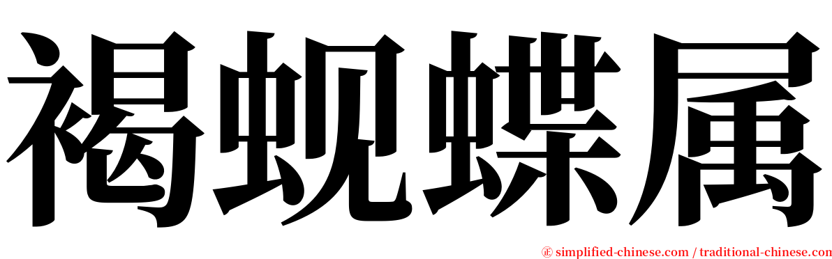 褐蚬蝶属 serif font