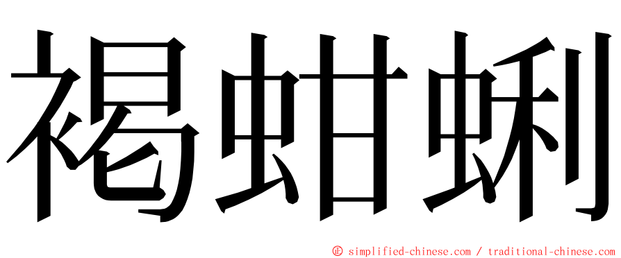褐蚶蜊 ming font