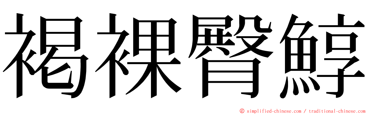 褐裸臀鯙 ming font