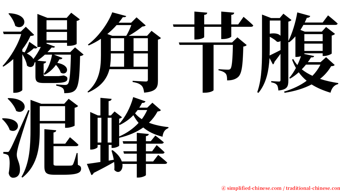 褐角节腹泥蜂 serif font