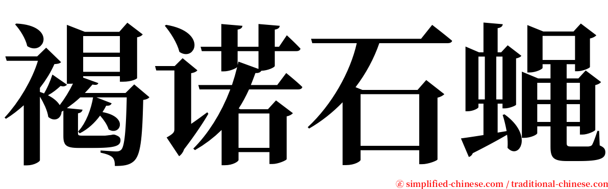 褐诺石蝇 serif font