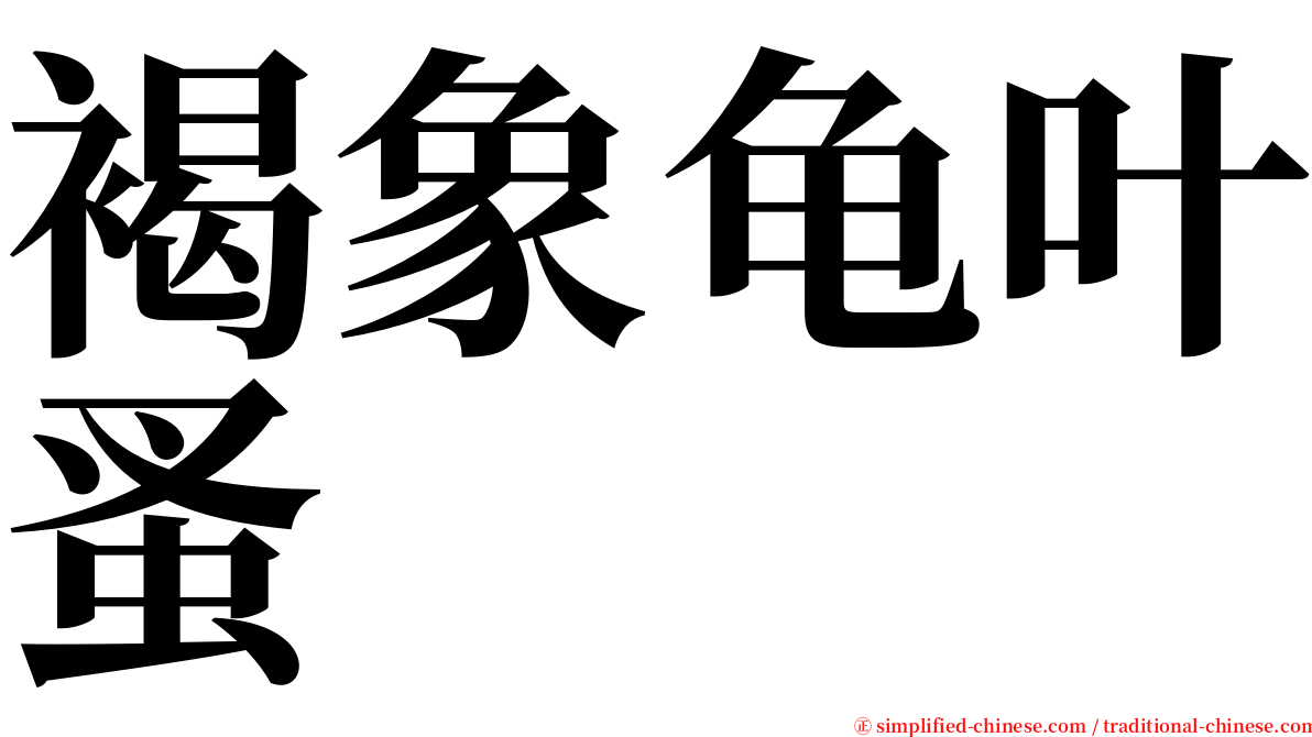 褐象龟叶蚤 serif font