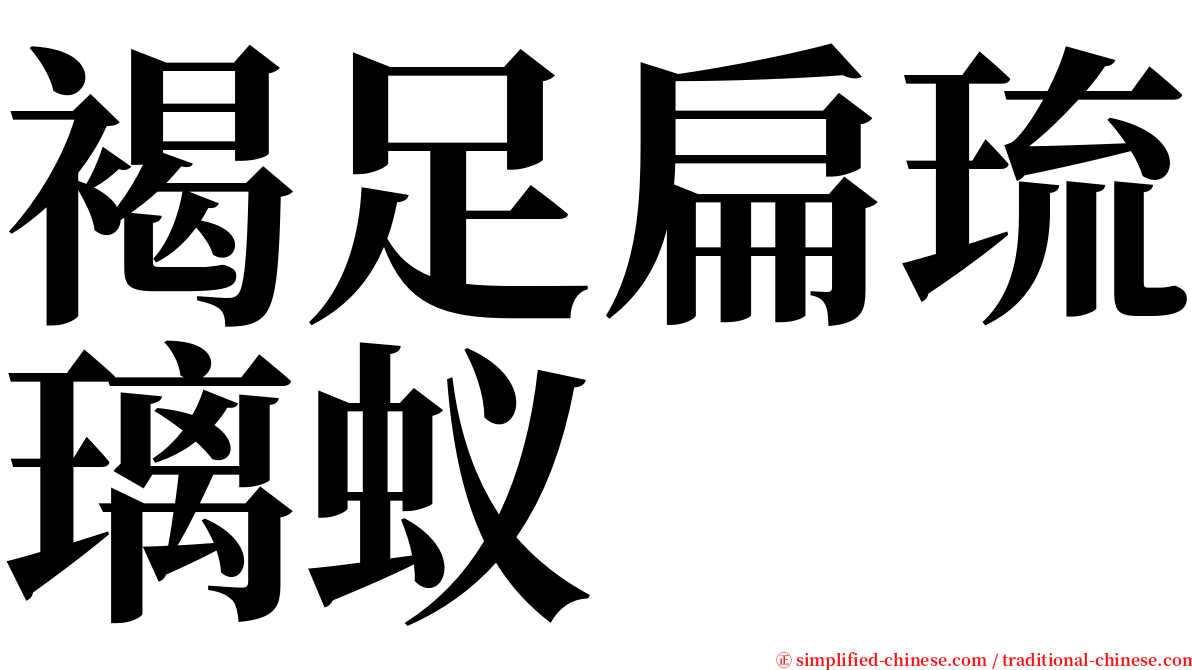 褐足扁琉璃蚁 serif font