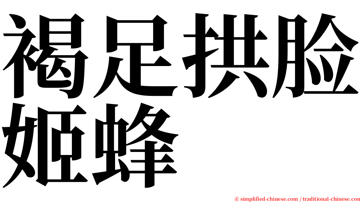 褐足拱脸姬蜂 serif font