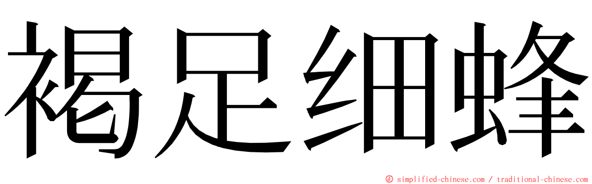 褐足细蜂 ming font