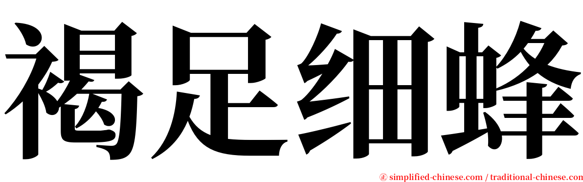 褐足细蜂 serif font