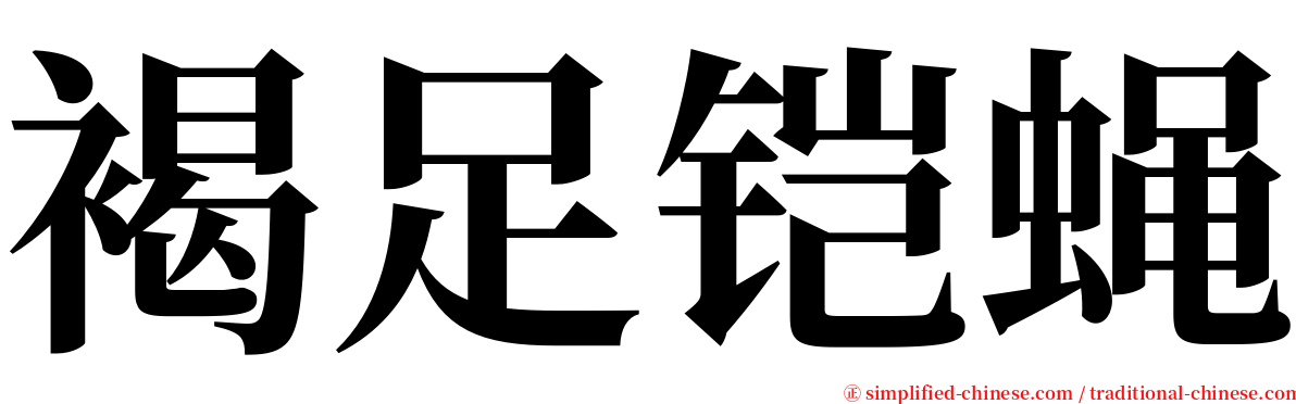 褐足铠蝇 serif font