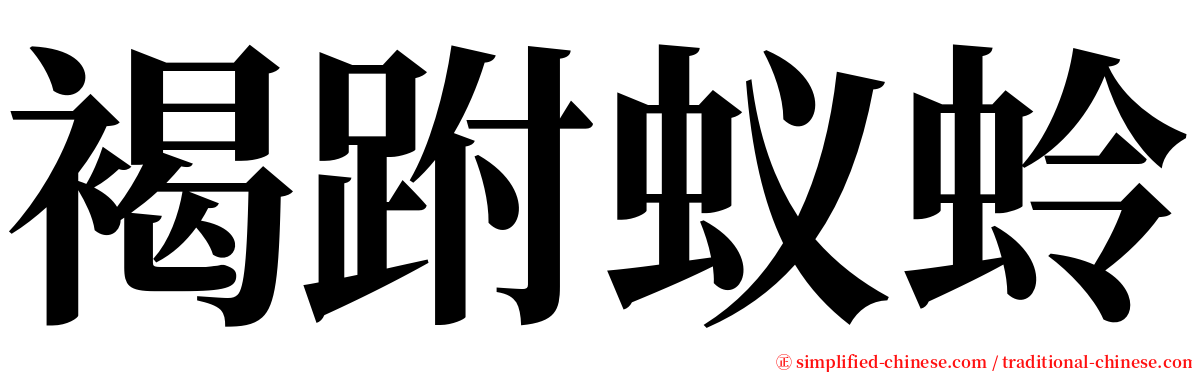 褐跗蚁蛉 serif font