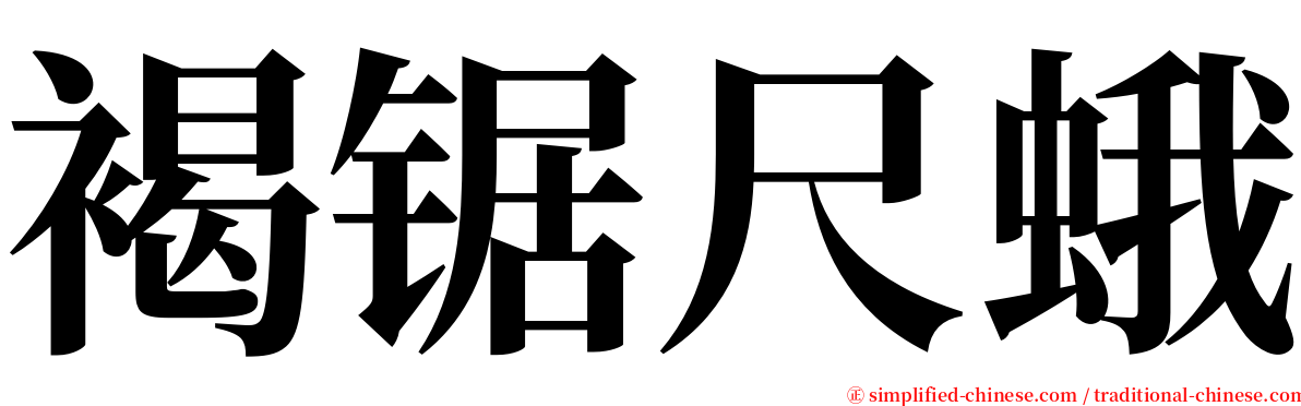 褐锯尺蛾 serif font