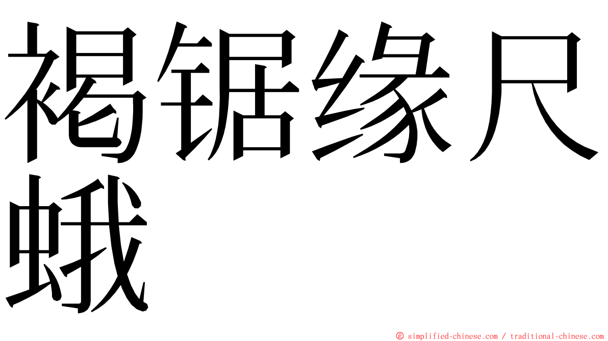 褐锯缘尺蛾 ming font