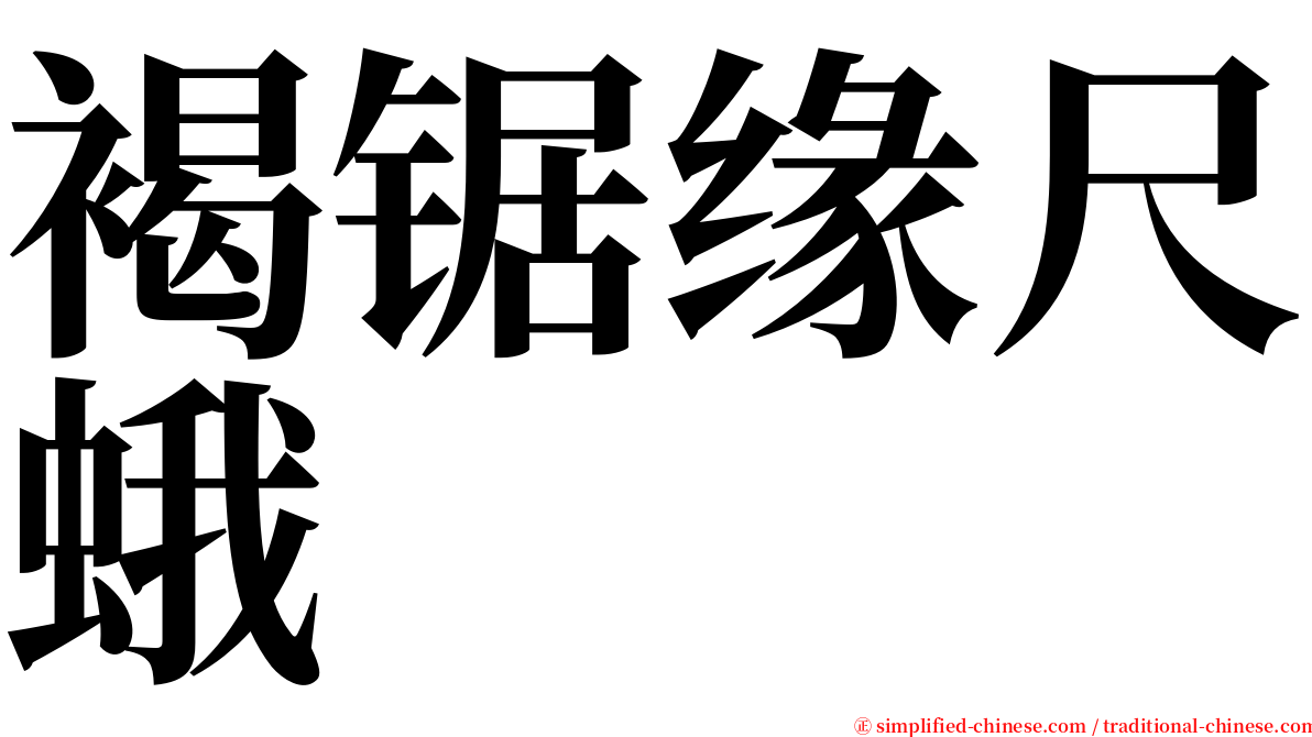 褐锯缘尺蛾 serif font