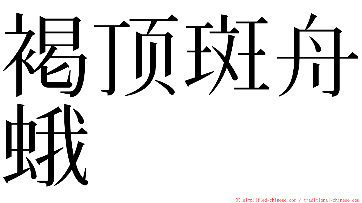 褐顶斑舟蛾 ming font