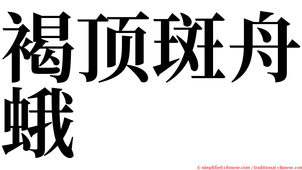 褐顶斑舟蛾 serif font