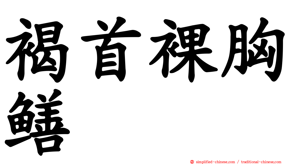 褐首裸胸鳝