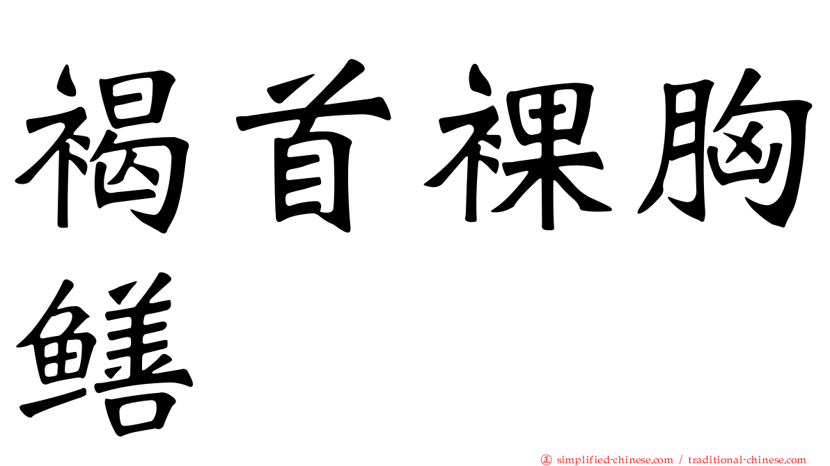 褐首裸胸鳝