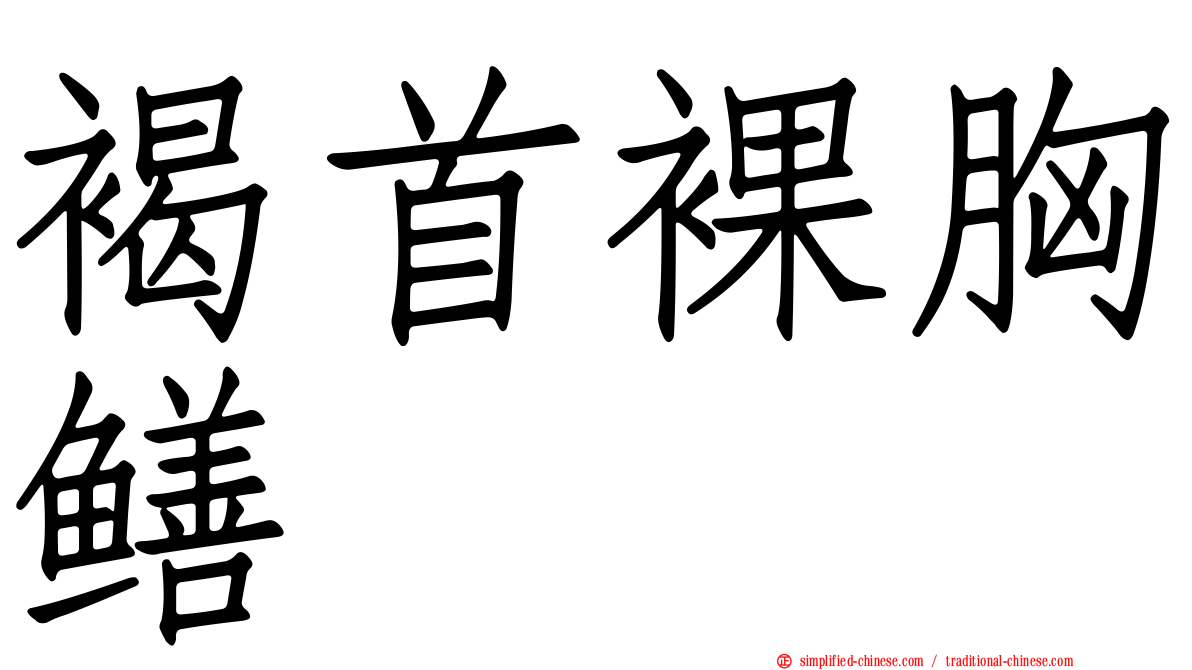 褐首裸胸鳝