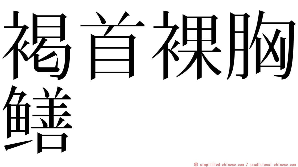 褐首裸胸鳝 ming font