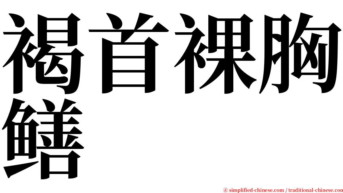 褐首裸胸鳝 serif font