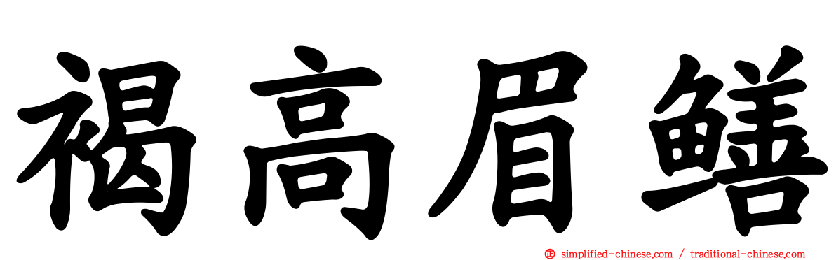 褐高眉鳝