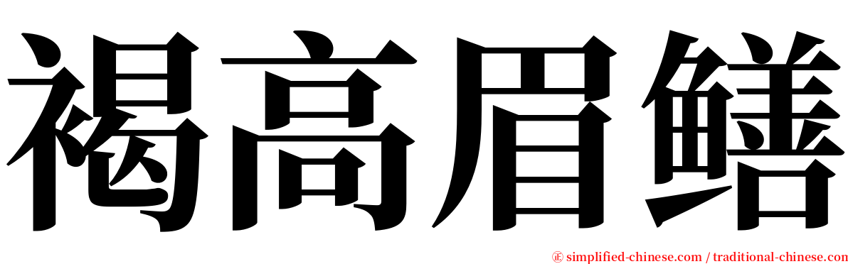 褐高眉鳝 serif font