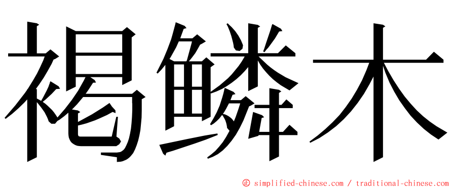 褐鳞木 ming font