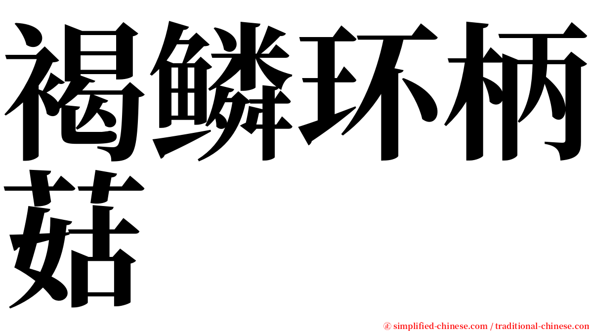 褐鳞环柄菇 serif font