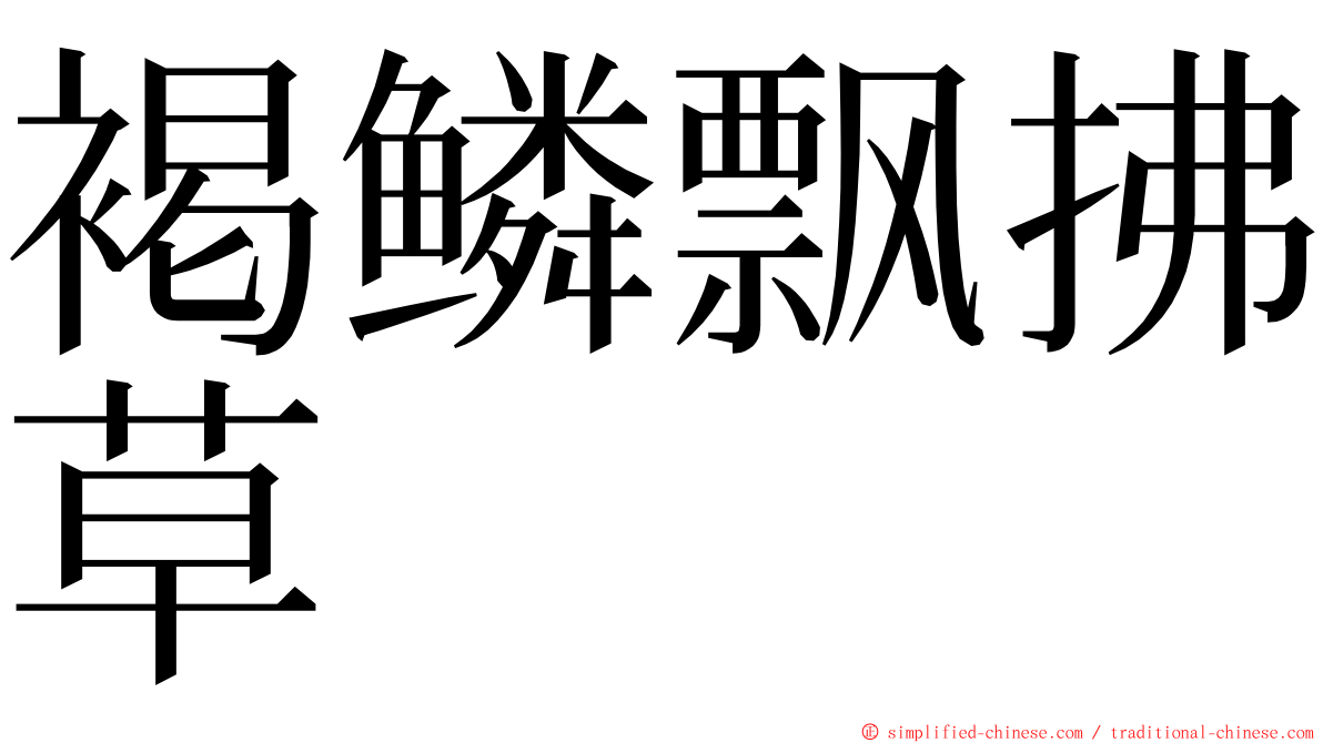 褐鳞飘拂草 ming font