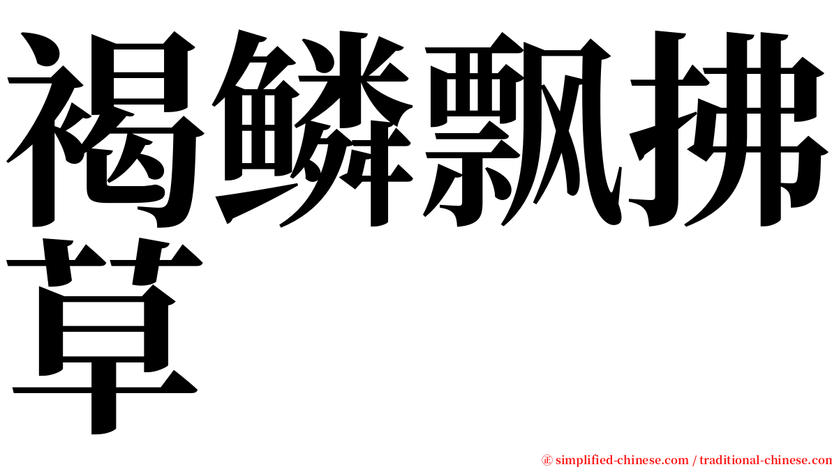 褐鳞飘拂草 serif font