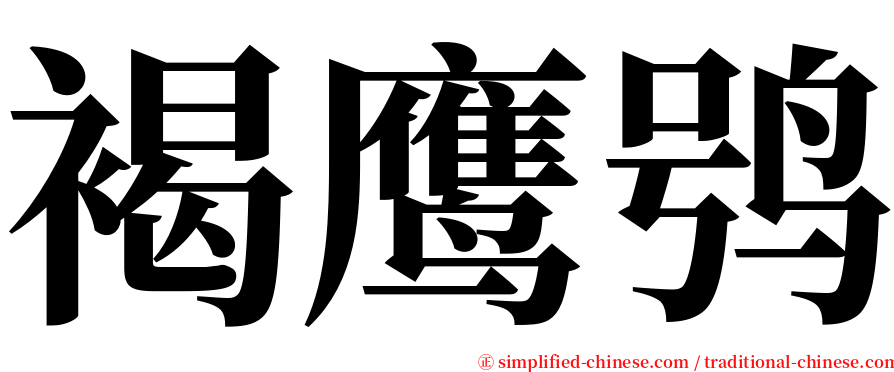 褐鹰鸮 serif font