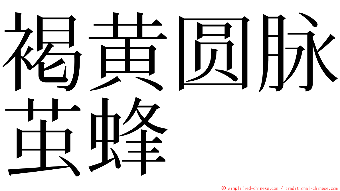 褐黄圆脉茧蜂 ming font