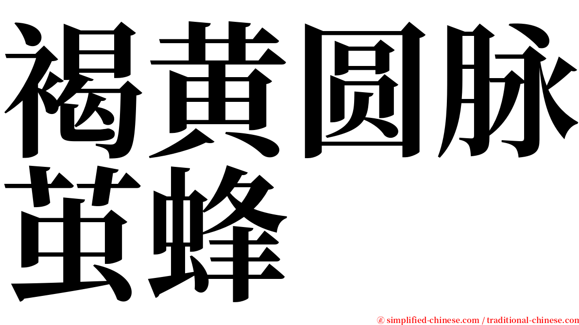 褐黄圆脉茧蜂 serif font