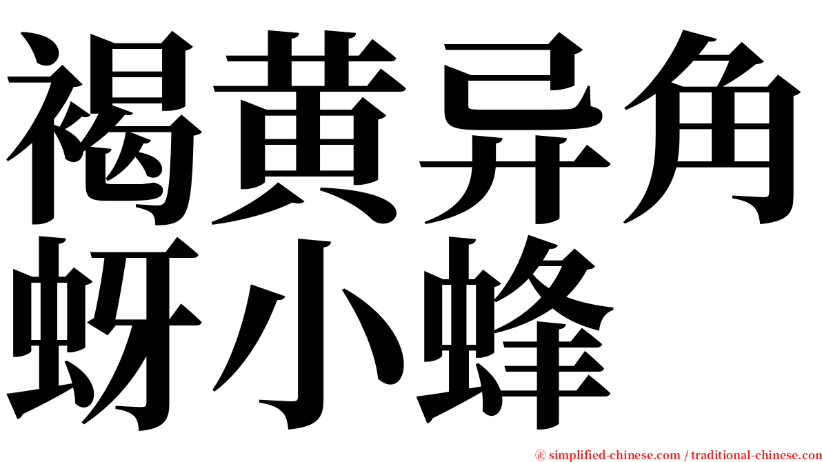 褐黄异角蚜小蜂 serif font