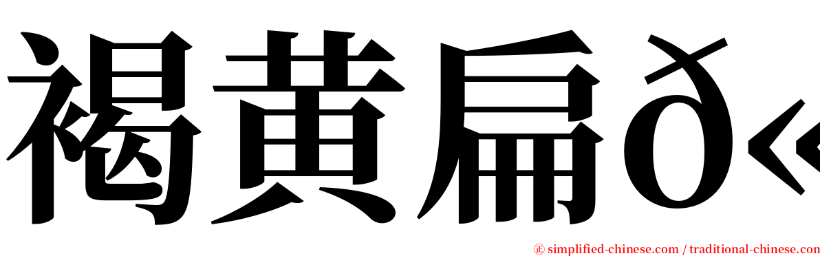 褐黄扁𫚉 serif font