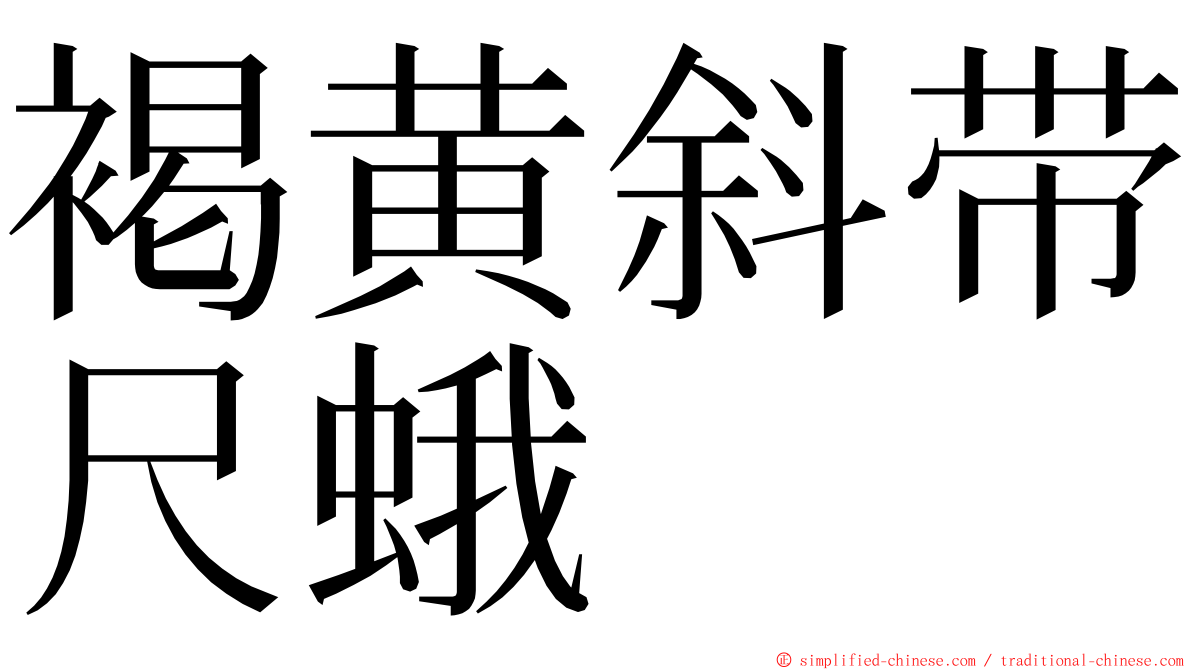 褐黄斜带尺蛾 ming font