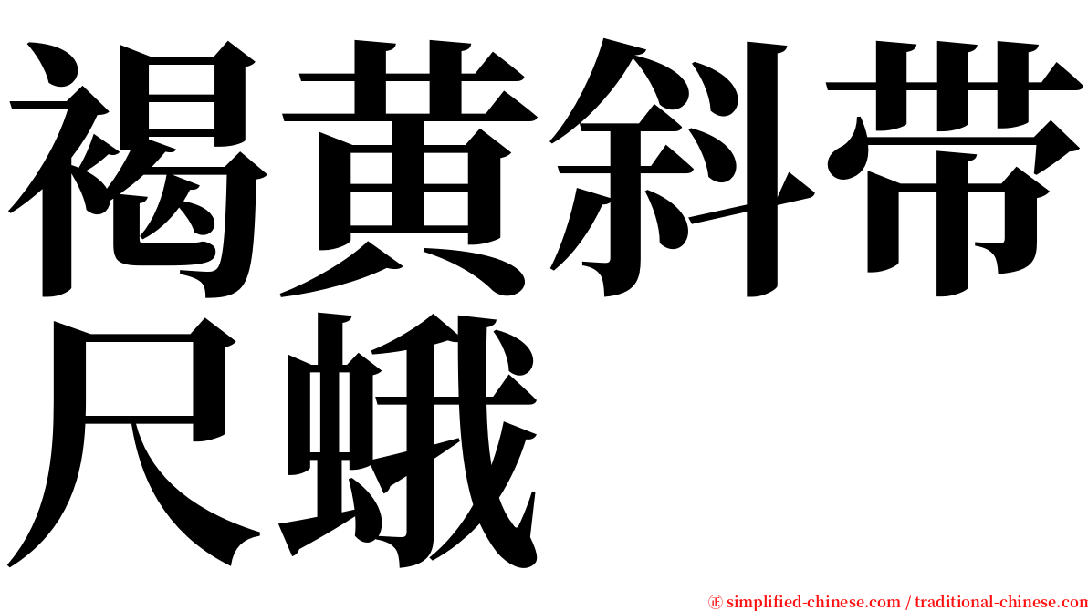 褐黄斜带尺蛾 serif font