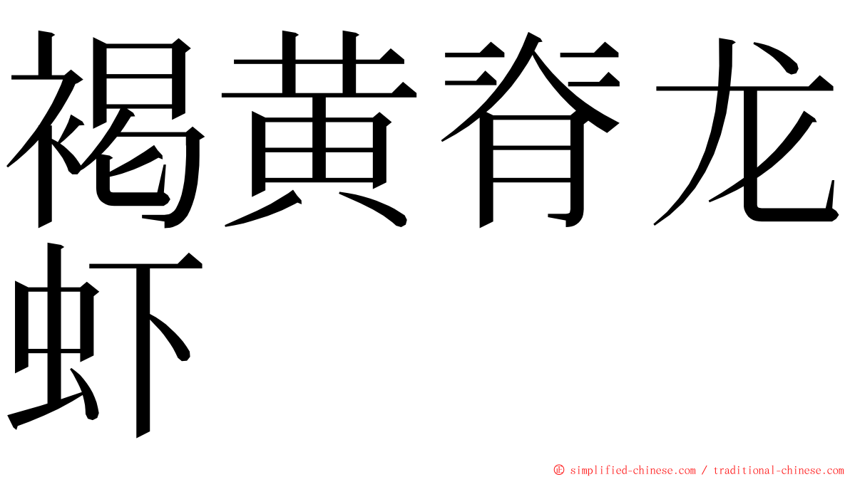 褐黄脊龙虾 ming font