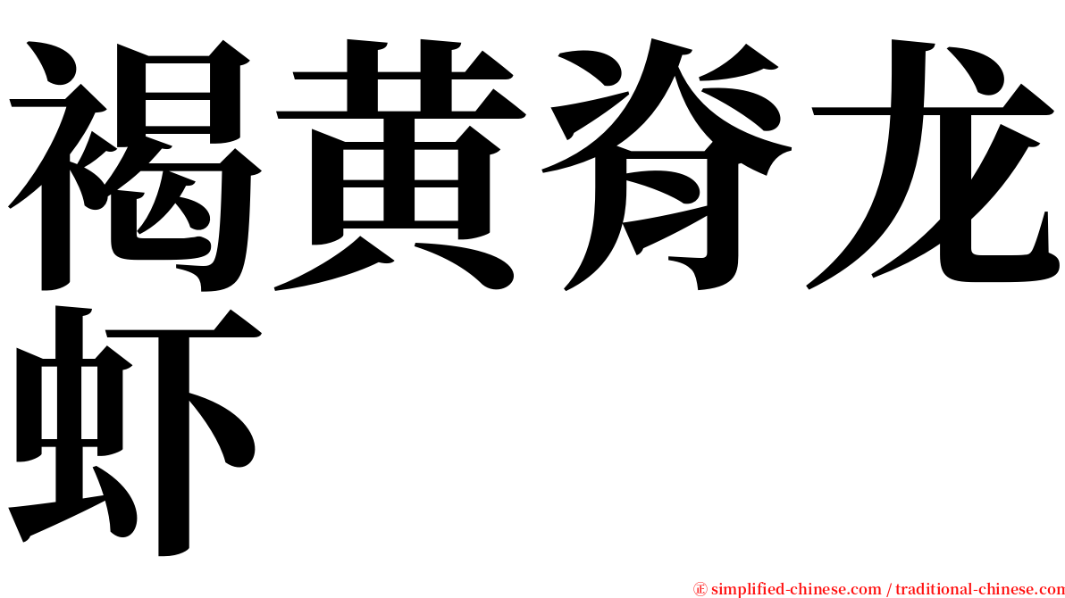 褐黄脊龙虾 serif font