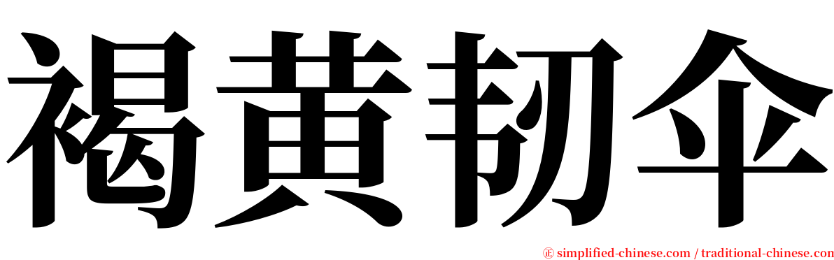 褐黄韧伞 serif font