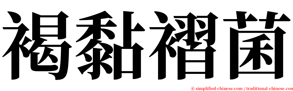 褐黏褶菌 serif font