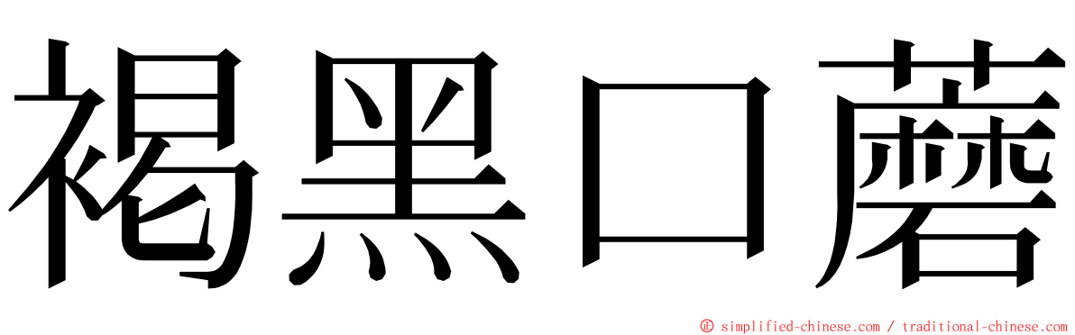 褐黑口蘑 ming font